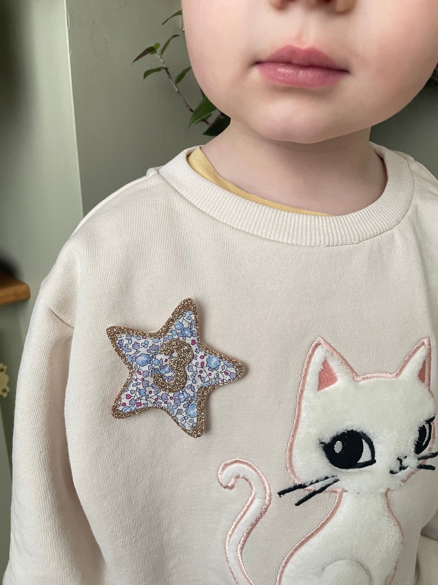 Personalised Birthday badges/ gold or silver glitter. A choice of 2 types of printed fabric. Children's birthday badge