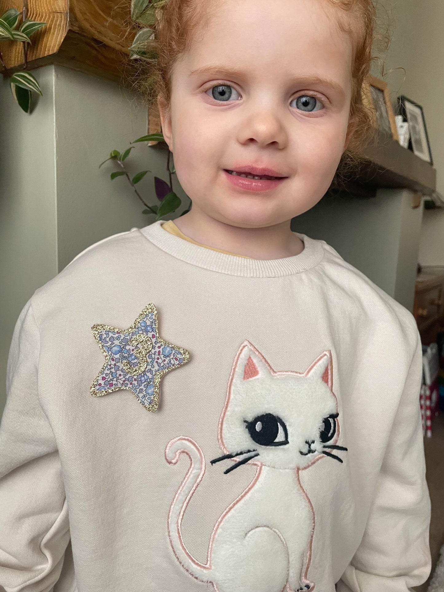 Personalised Birthday badges/ gold or silver glitter. A choice of 2 types of printed fabric. Children's birthday badge