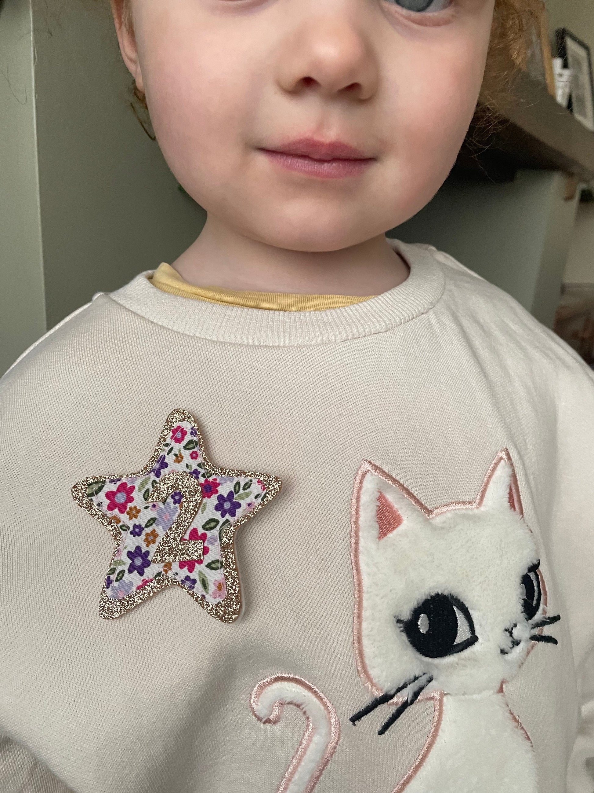 Personalised Birthday badges/ gold or silver glitter. A choice of 2 types of printed fabric. Children's birthday badge